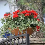 Mediterranean Village San Antonio 3* 비오그라드나모루
