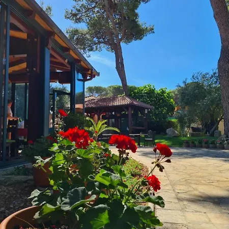 Mediterranean Village San Antonio Biograd Na Moru