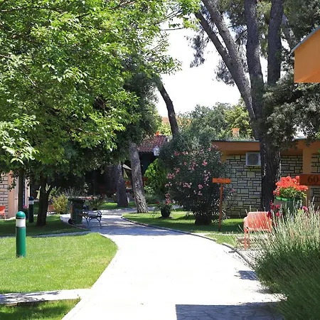 מלון Mediterranean Village San Antonio 3*