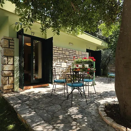 Mediterranean Village San Antonio 3* ビオグラード・ナ・モル
