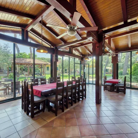 ホテル Mediterranean Village San Antonio 3*