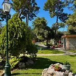 Mediterranean Village San Antonio Hotel 3*