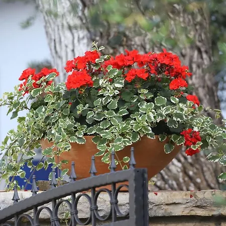 Mediterranean Village San Antonio 3* Biograd Na Moru