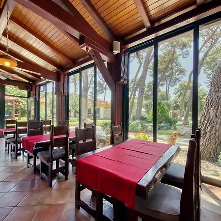 فندق Mediterranean Village San Antonio