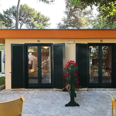 Отель Mediterranean Village San Antonio 3*