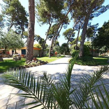 Mediterranean Village San Antonio Hotel 3*