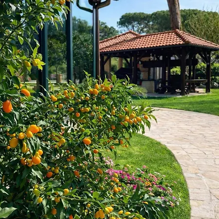 Mediterranean Village San Antonio Hotel Biograd Na Moru