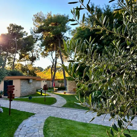 Hotel Mediterranean Village San Antonio Biograd Na Moru