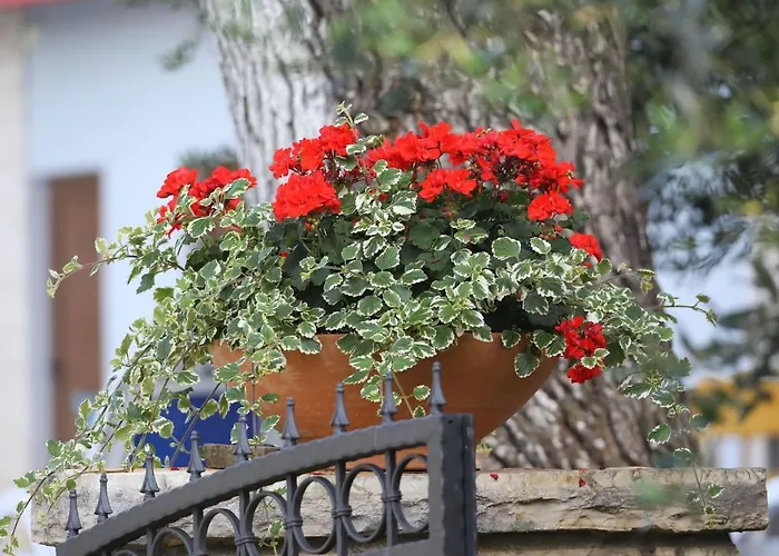 Mediterranean Village San Antonio 3* Биоград-на-Мору